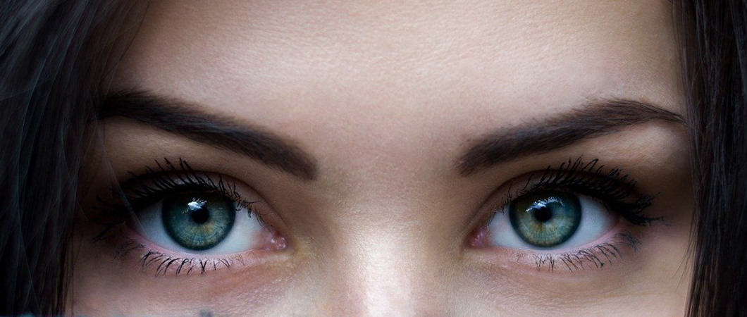 Eyebrow transplant
